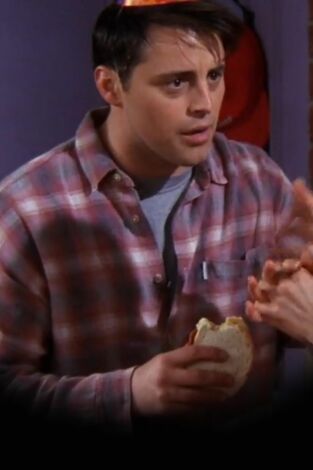 Friends (T4): Ep.16 El de la falsa fiesta
