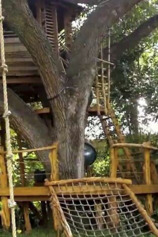 Mi casa en un árbol: Vistas desde arriba (3ª parte)