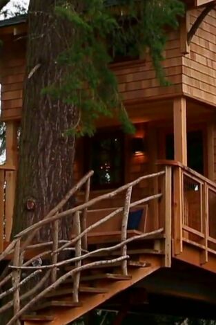 Mi casa en un árbol: Casa en un árbol 2.0