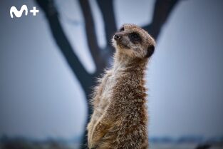 One Zoo Three: Día de práctica