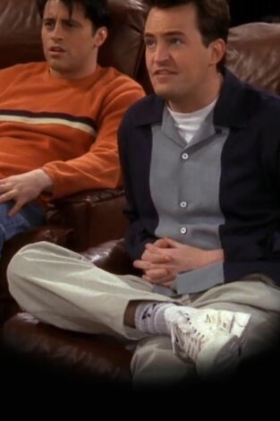 Friends (T4): Ep.19 El de todas las prisas