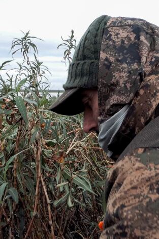 Locos por el 20. Especial Argentina: Patos de arrozal