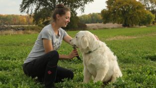 La increíble granja del Dr. Pol: Tormenta de ideas para el establo