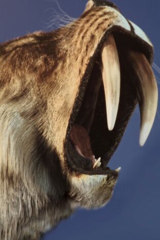 Prehistóricos y letales: Bestias terrestres