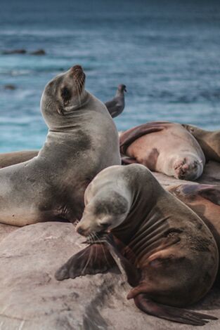 Espacios naturales espectaculares