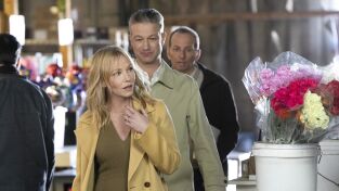 Ley y orden: unidad de víctimas especiales (T25): Episodio 11