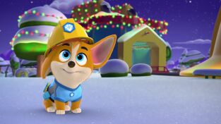 ¡Cachorros a la obra! (T1): Ep.25 El festival de la música de Animalia