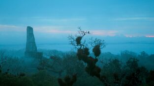 Antiguas civilizaciones de América: Mayas e Incas: los maestros de la guerra