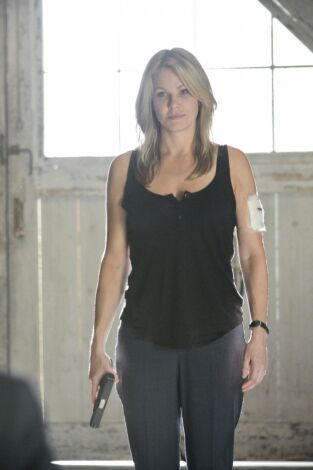 NCIS: Los Ángeles (T4): Ep.22 El cuervo y los cisnes