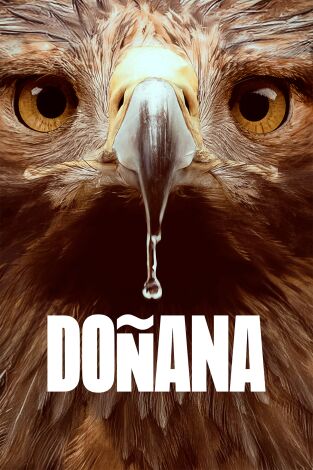 Doñana: Episodio 1