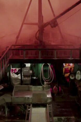 Pesca radical: Peligro cercano