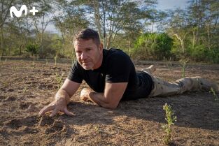 Hipopótamos y cocodrilos con Steve Backshall: Hipopótamos con Steve Backshall II