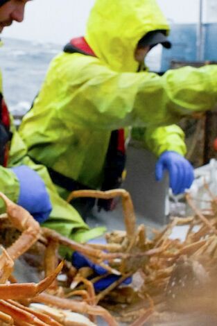 Pesca radical: El fin del principio