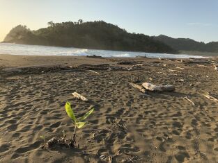 De viaje: de Garachiné a Juradó