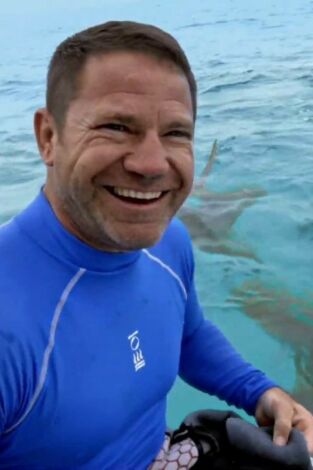 Fauna letal: Especial tiburones