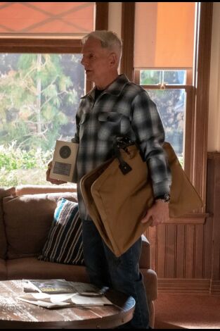 Navy: Investigación criminal (T17): Ep.20 El Arizona