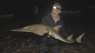 Los últimos gigantes: Episodio 1