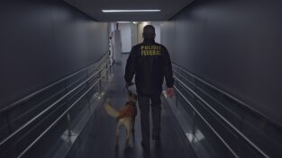 Alerta Aeropuerto 6: Perú y Brasil: Contrabandistas y recién casados