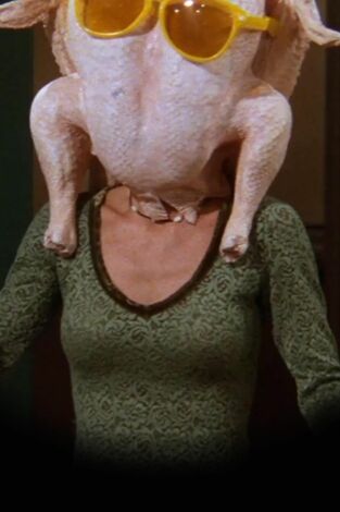 Friends (T5): Ep.8 El de los días de acción de gracias