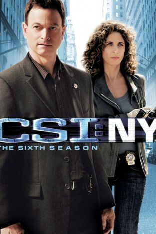 C.S.I. NY (T6): Ep.7 Pisando el acelerador