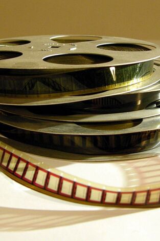 Wallace e Gromit: polos pelos