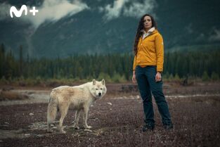 Human: la historia del ser humano: América como refugio en la Edad de Hielo