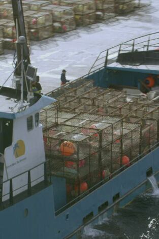 Pesca radical: Máquina del tiempo