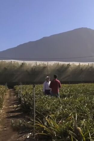 Andaluces por España: El Hierro