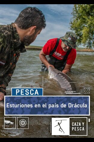 Esturiones en el país de Drácula