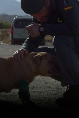 Seprona en acción: Episodio 13