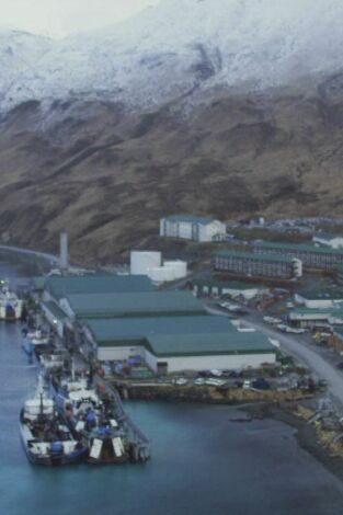 Pesca radical: Dedicación