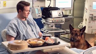 Hudson y Rex (T2): Ep.13 Llamarada canina