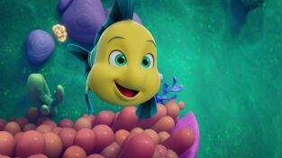 Disney Junior Ariel Single Story (T2): Ep.7 Los deseos de Flounder