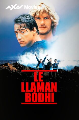 Le llaman Bodhi