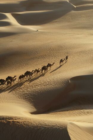 Secretos en la arena: Episodio 4