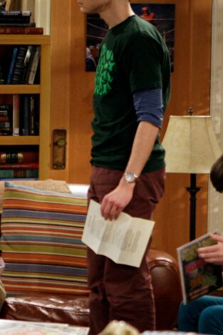 Big Bang (T3): Ep.16 La gran adquisición