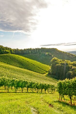 Borgoña, el corazon de Francia