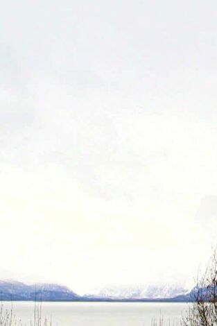 Minicasas sobre ruedas: Una yurta diminuta en Alaska