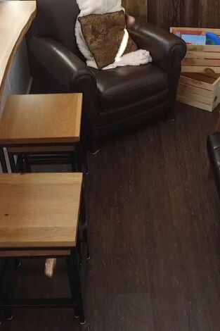 Minicasas sobre ruedas: Un refugio diminuto al lado de un lago