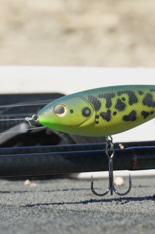 Entrenando un Open de Blackbass