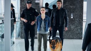 Hudson y Rex (T3): Ep.3 Hacia lo salvaje