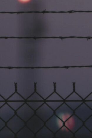 American Cartel: El diablo a la vuelta de la esquina