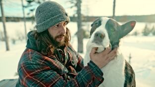 Desafío en los Northwoods: Al abrigo del invierno