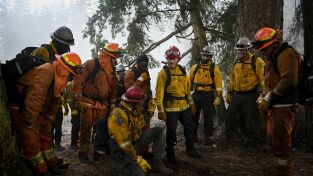 Fire Country (T1): Ep.16 Mi tipo de líder