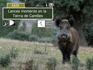 Lances monteros en la Tierra de Camöes