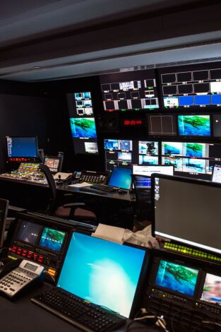 Especial servicios informativos: Especial 28F