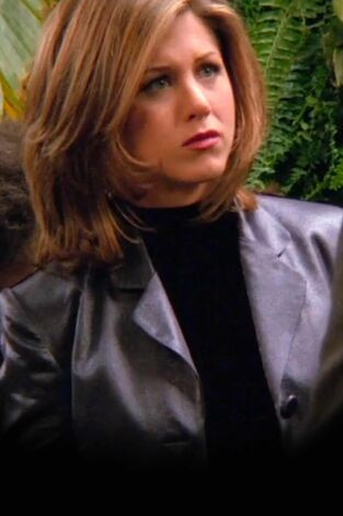 Friends (T2): Ep.15 En el que Ross y Rachel... ya sabes