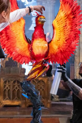 Harry Potter: los magos de la repostería: El despacho de Dumbledore