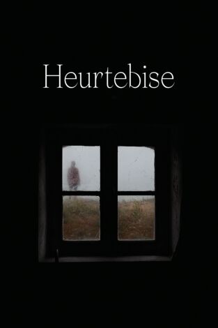 Heurtebise