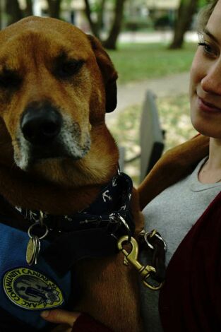 ¿Cómo lo hacen? Mundo animal: Pájaros que vuelan al revés y babosas criaturas marinas